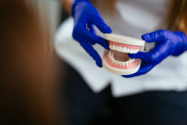  Cass City, MI Dental Services Pros